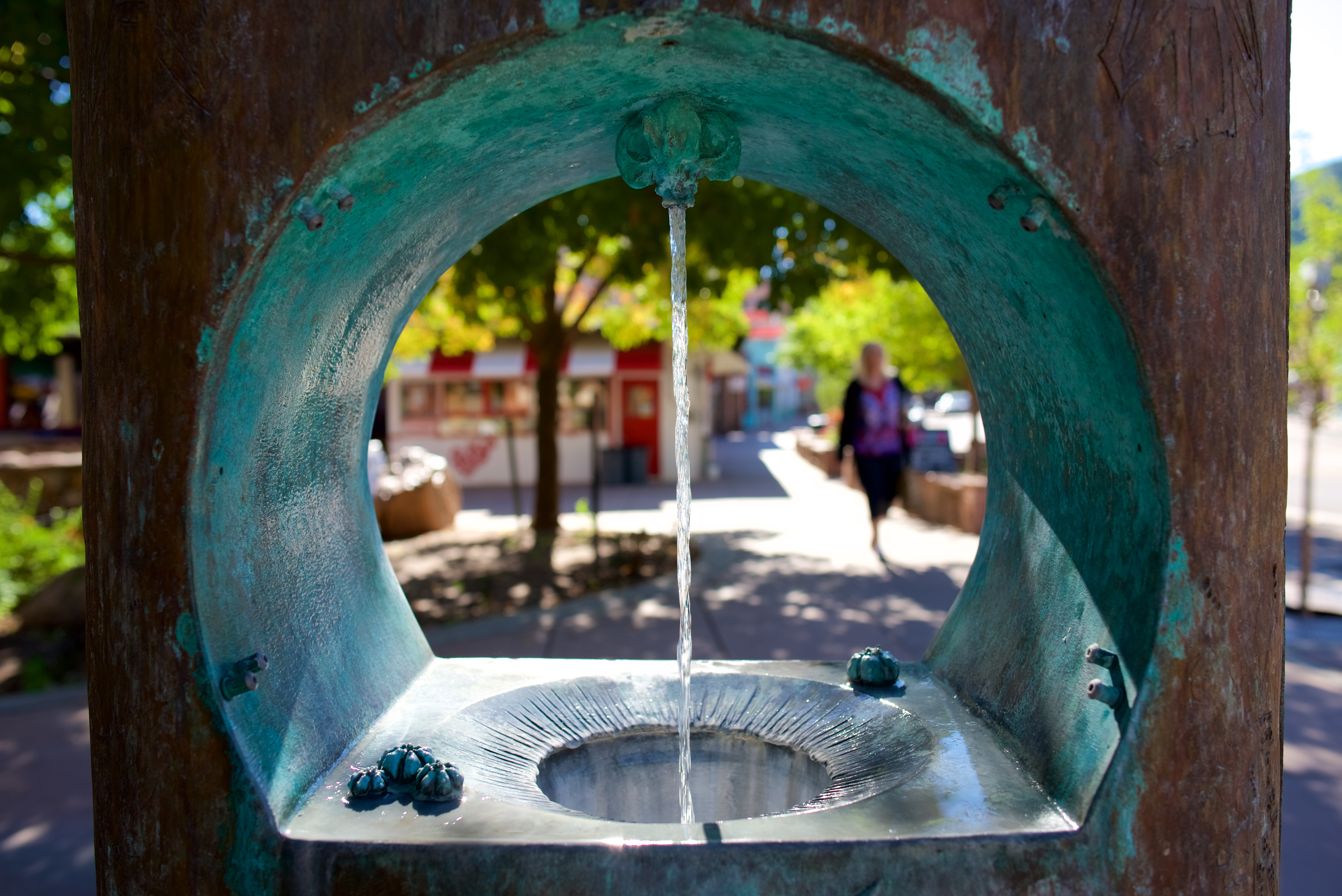 Elevated Microbrews Served by Mighty Springs